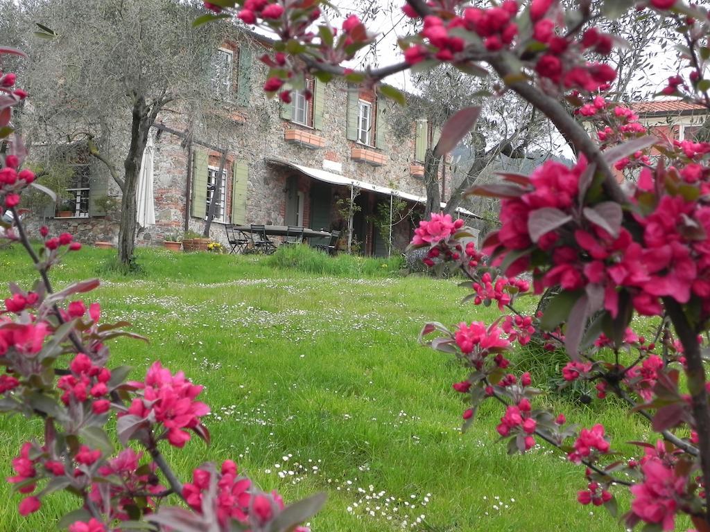 Il Giardino Delle Esperidi Panzió Fosdinovo Kültér fotó